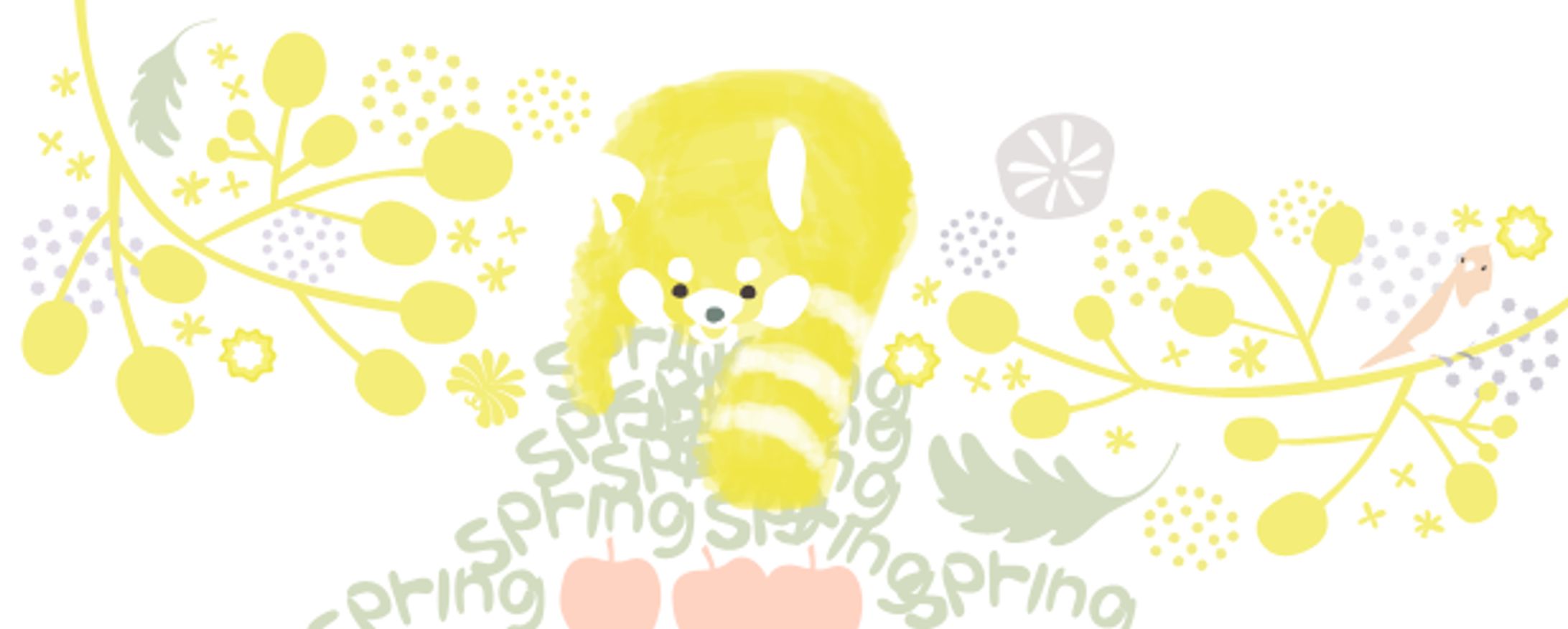 レッサーパンダ-1