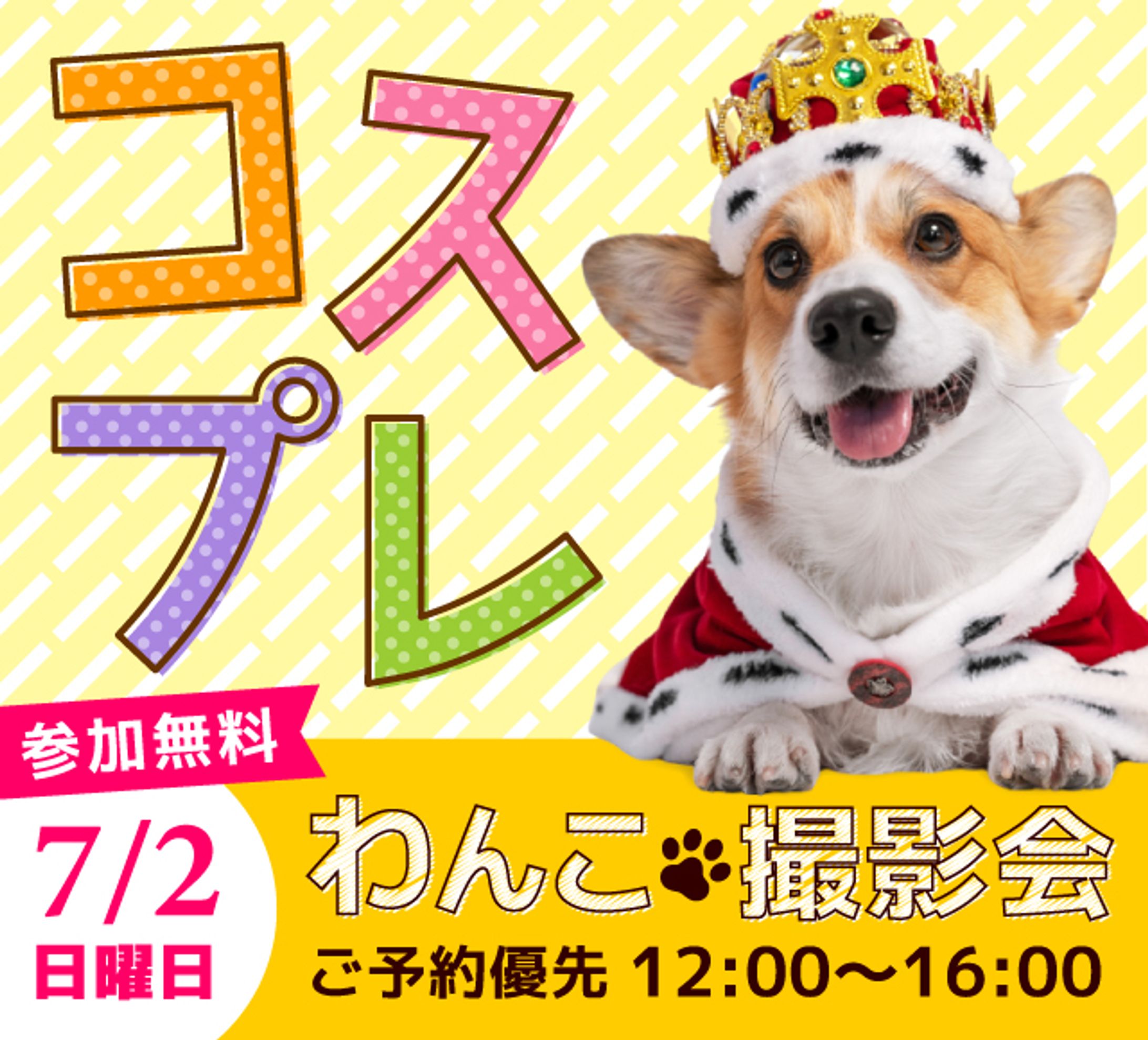 わんこコスプレ撮影会バナー-1