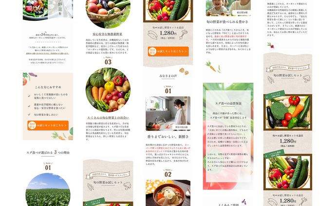 LP制作｜オーガニック野菜宅配サービス「すぐ食べ」（SP）