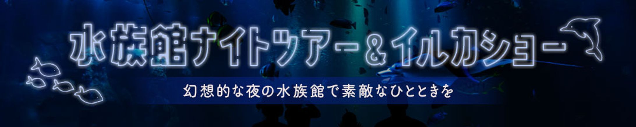 バナー：水族館ナイトツアー＆イルカショー-1