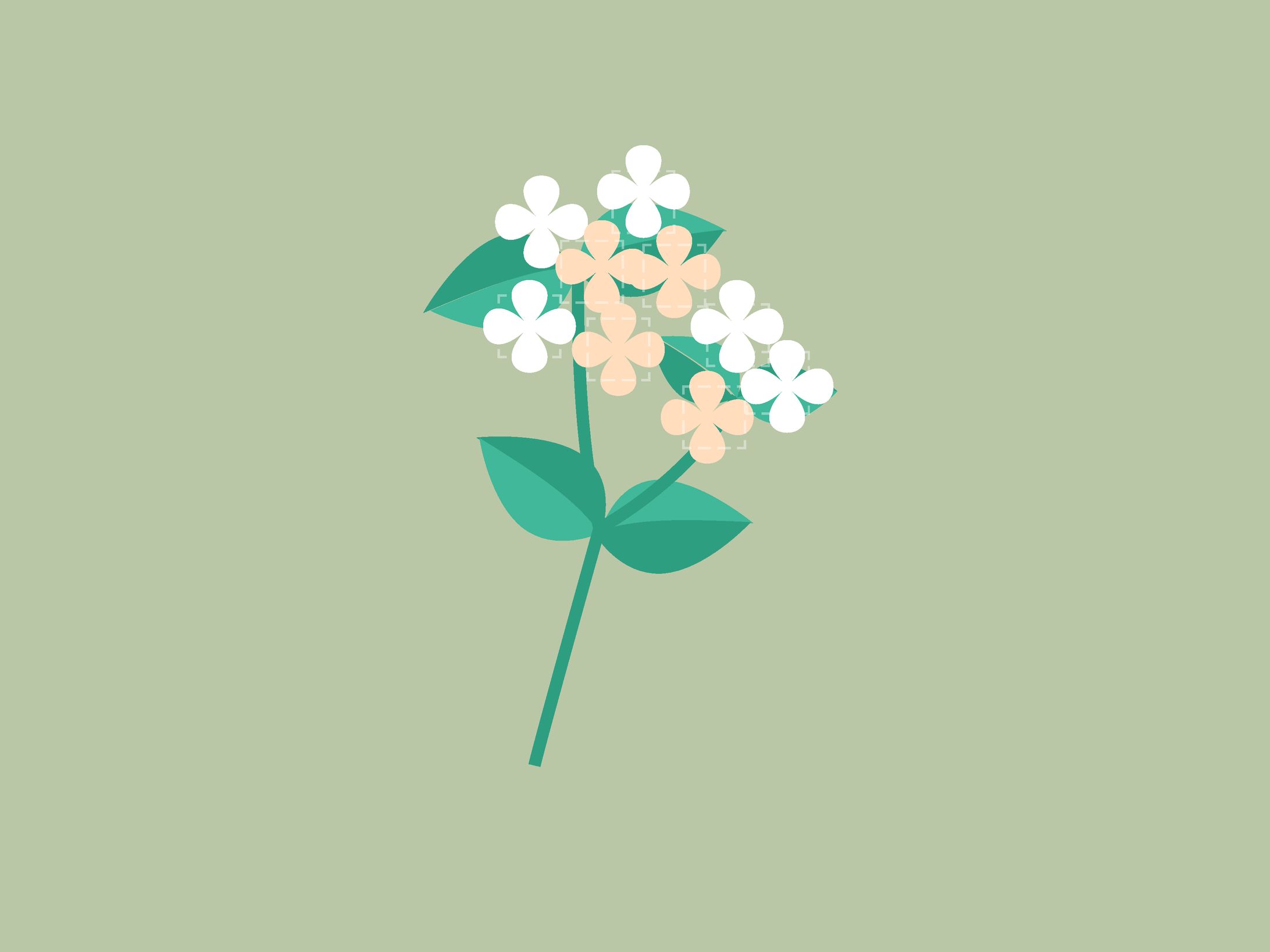 illustrator　はな-1