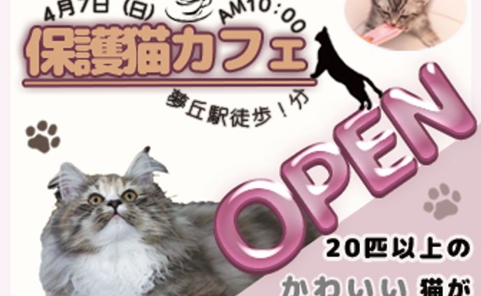 保護猫カフェ<架空>