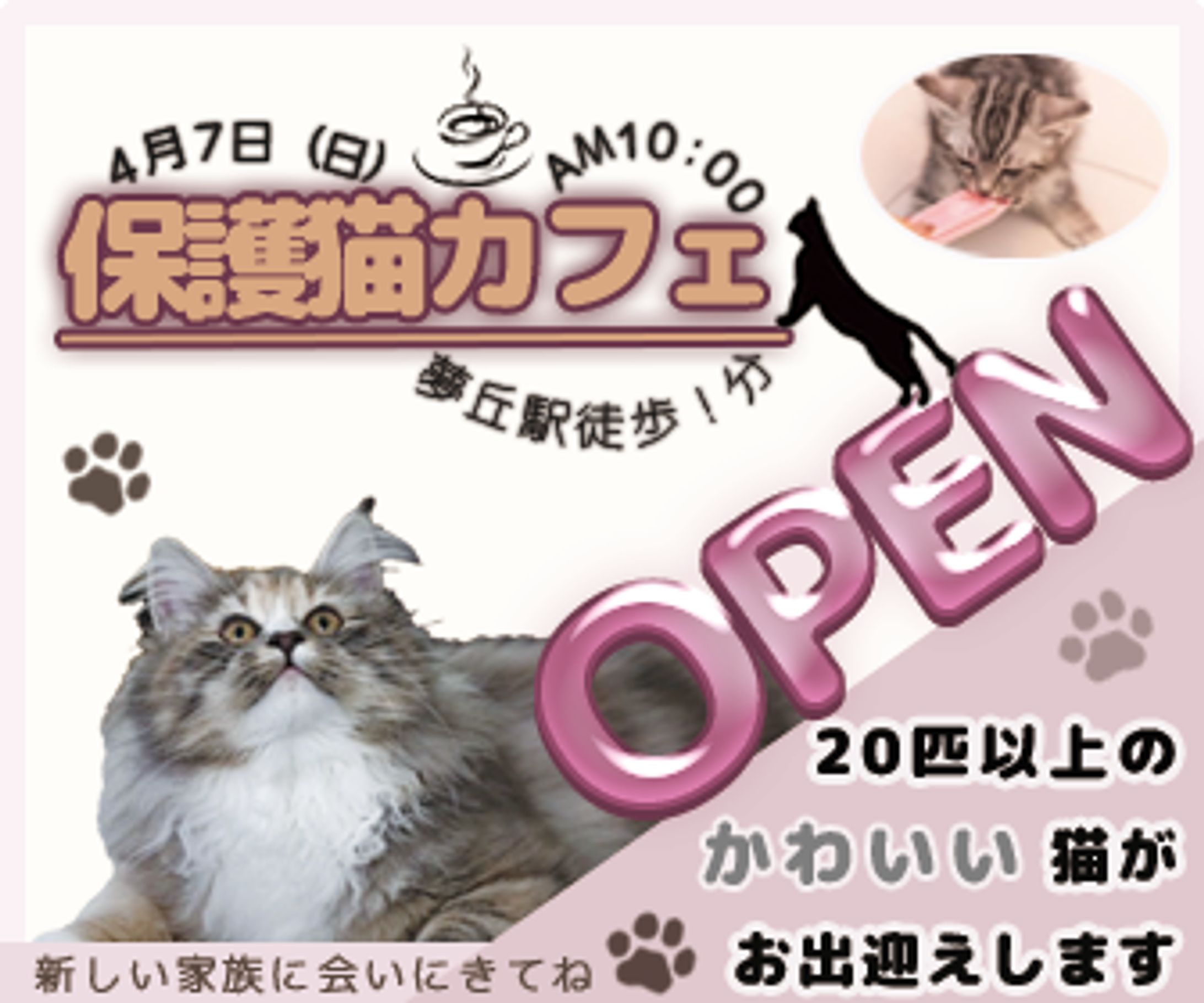 保護猫カフェ<架空>-1