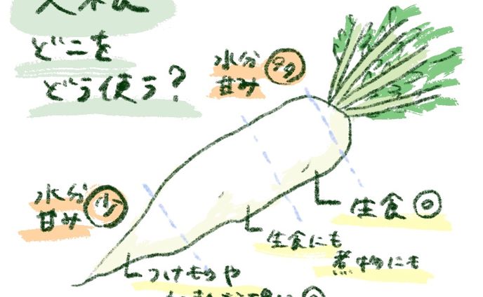 Web記事・挿絵