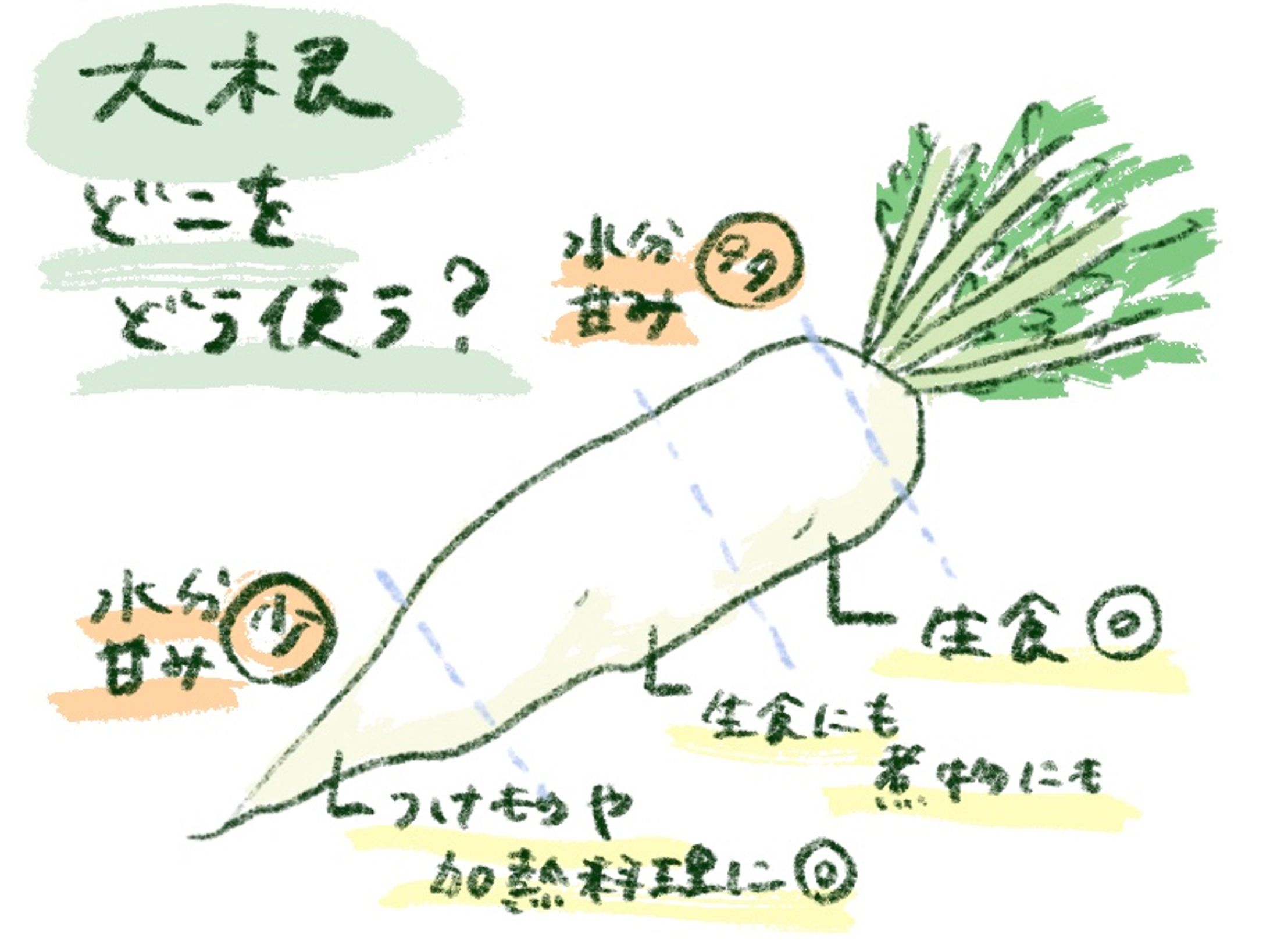 Web記事・挿絵-1