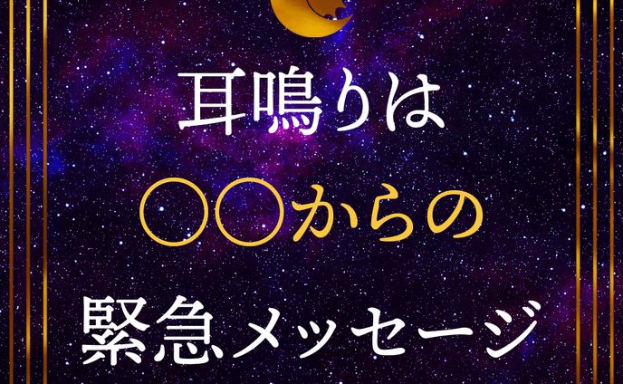イラスト　デザイン、ecサイト商品画像