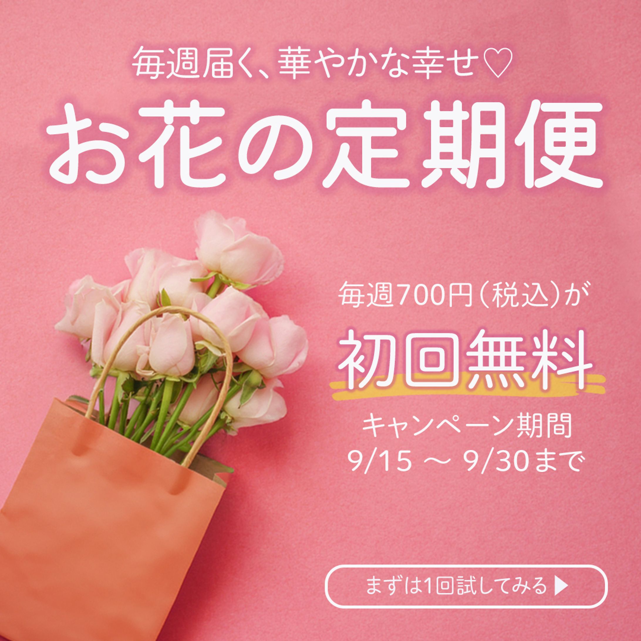 お花の定期便バナー（架空）-1