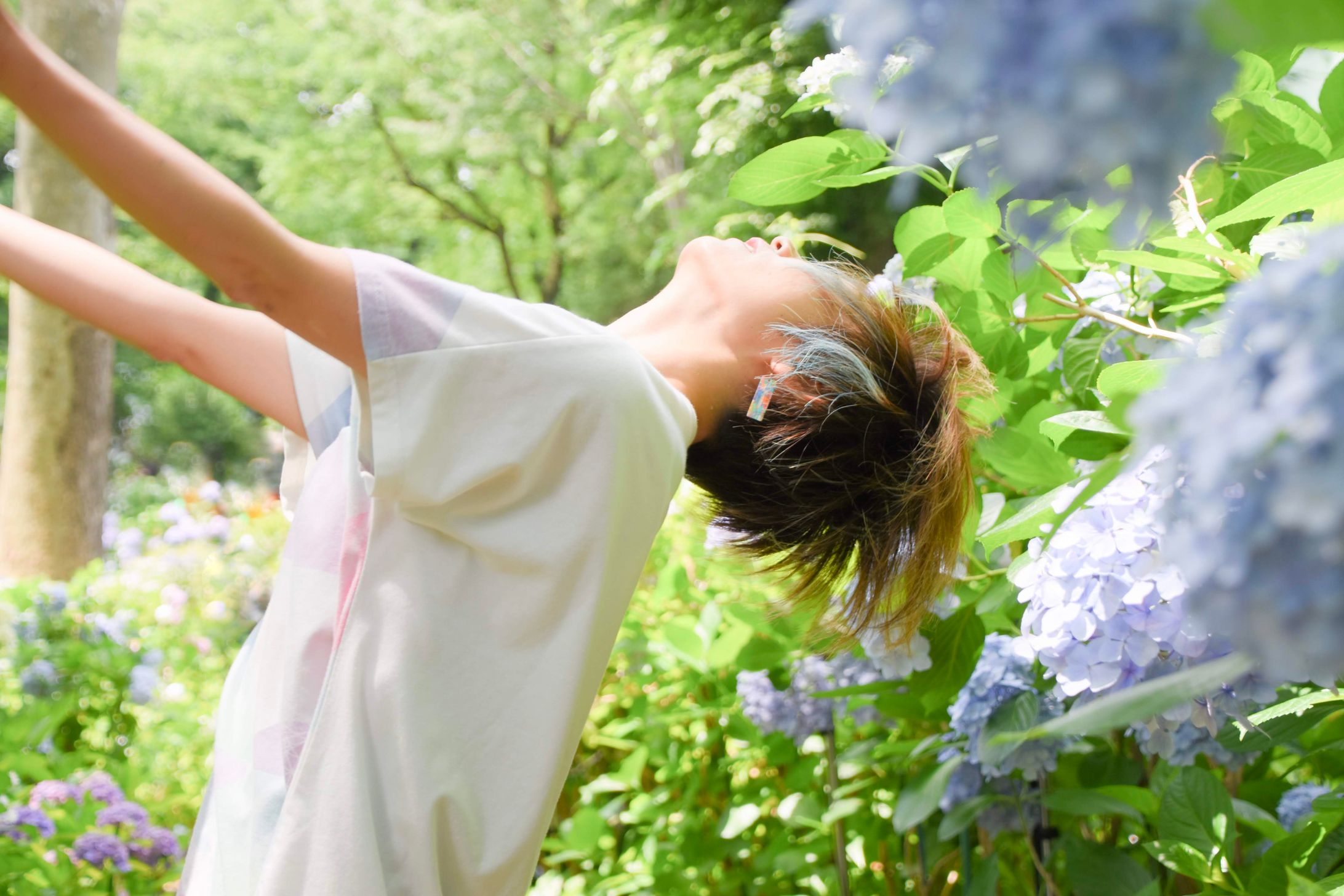 紫陽花と舞う-1
