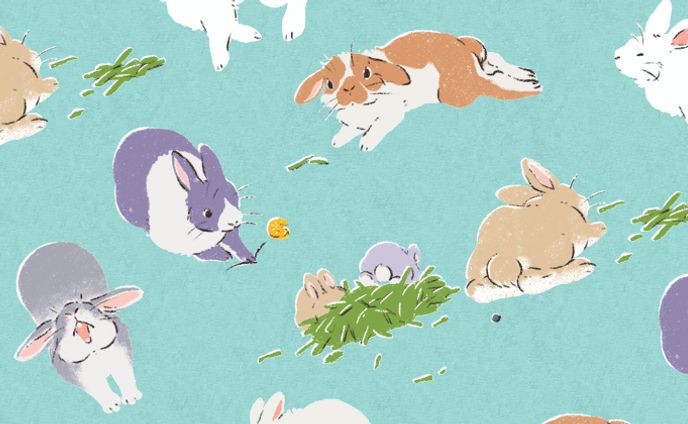 うさぎのイラスト