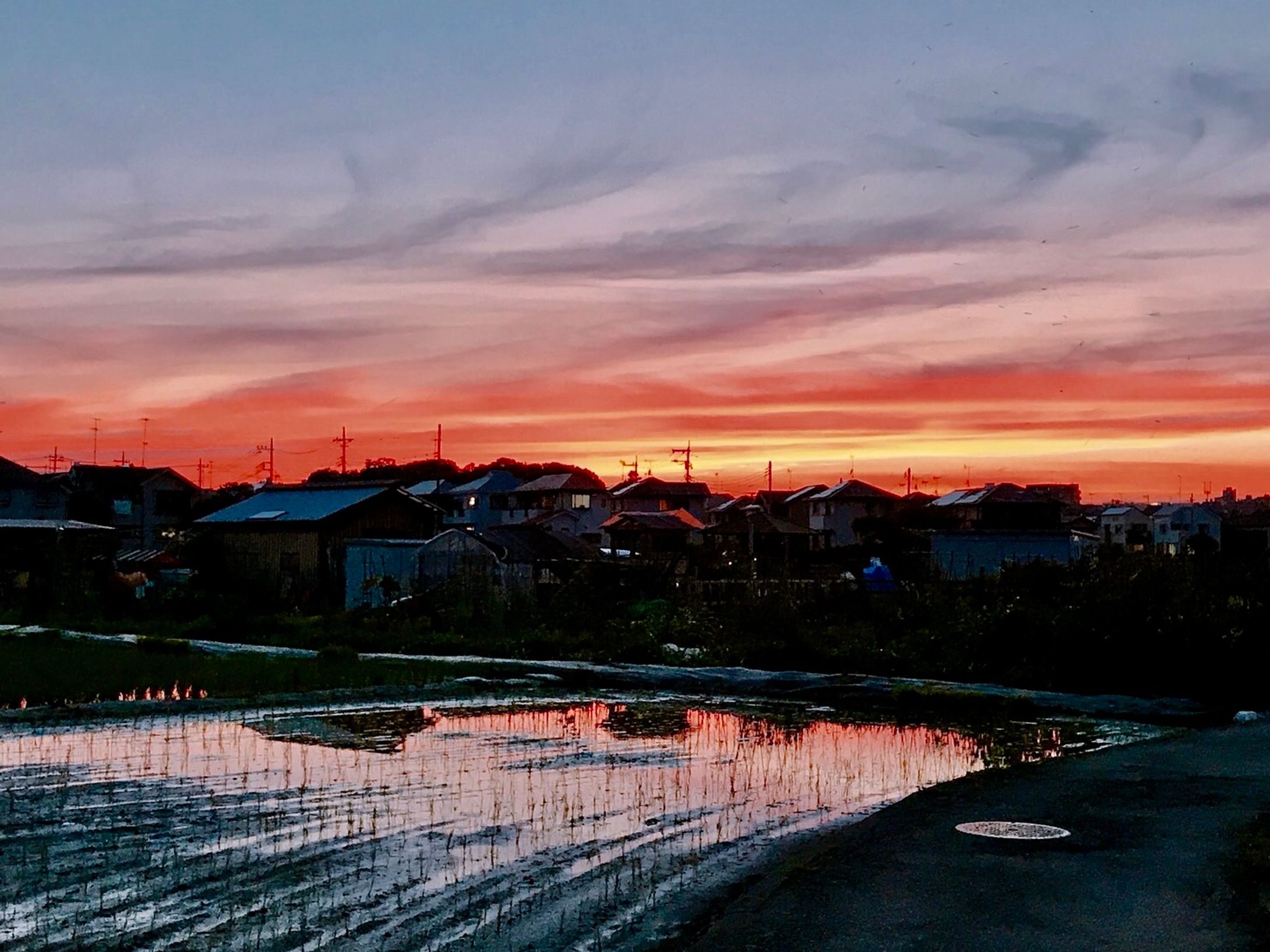 風景-1