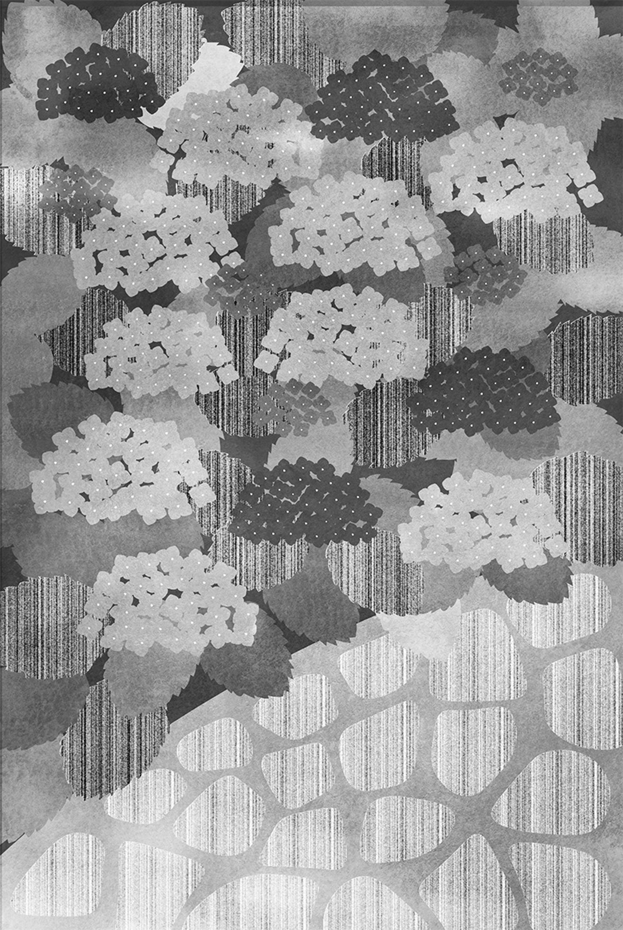 紫陽花-1