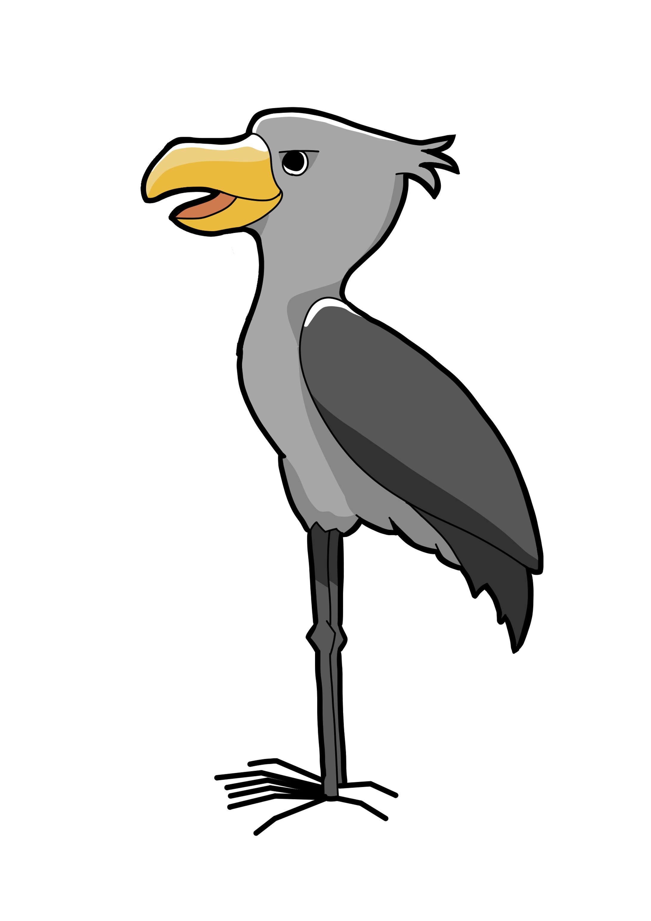 ハシビロコウ(2025)-1