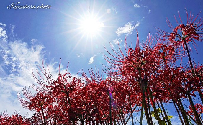 photo、composition
