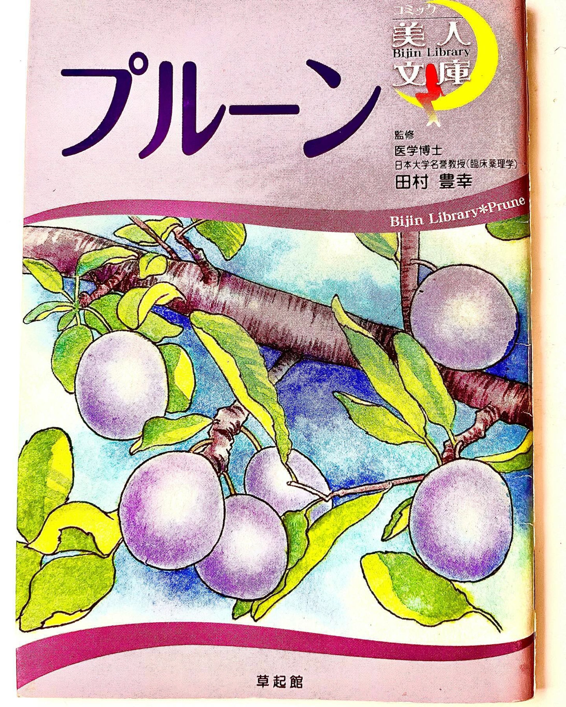 プルーン　表紙イラスト-1