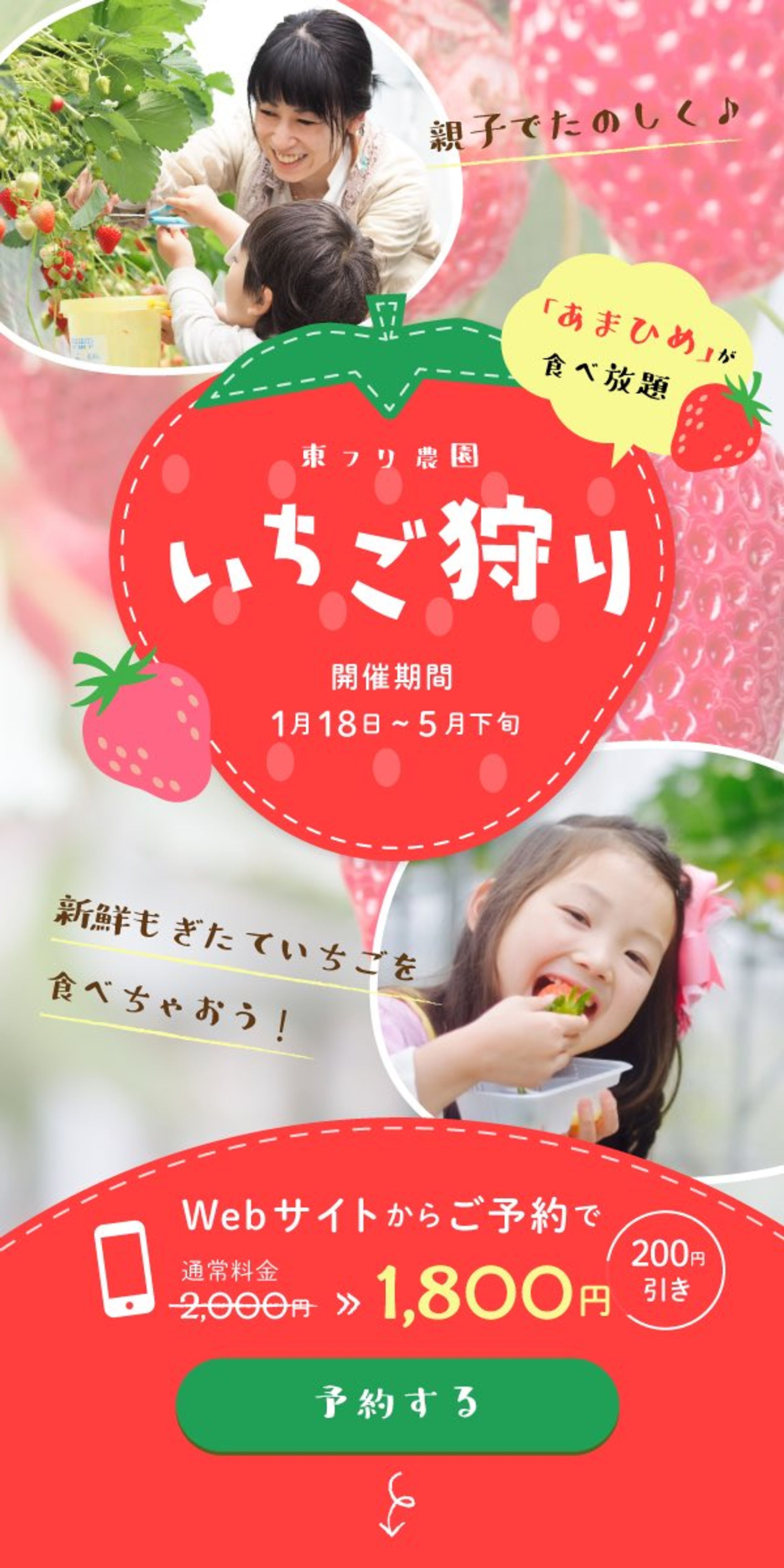 いちご狩り　インスタ広告2-1