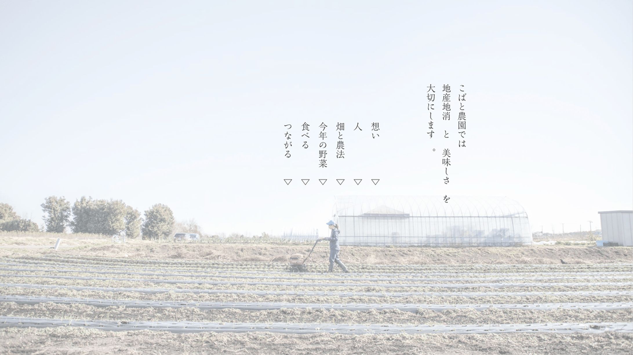 WEB site/こばと農園-1