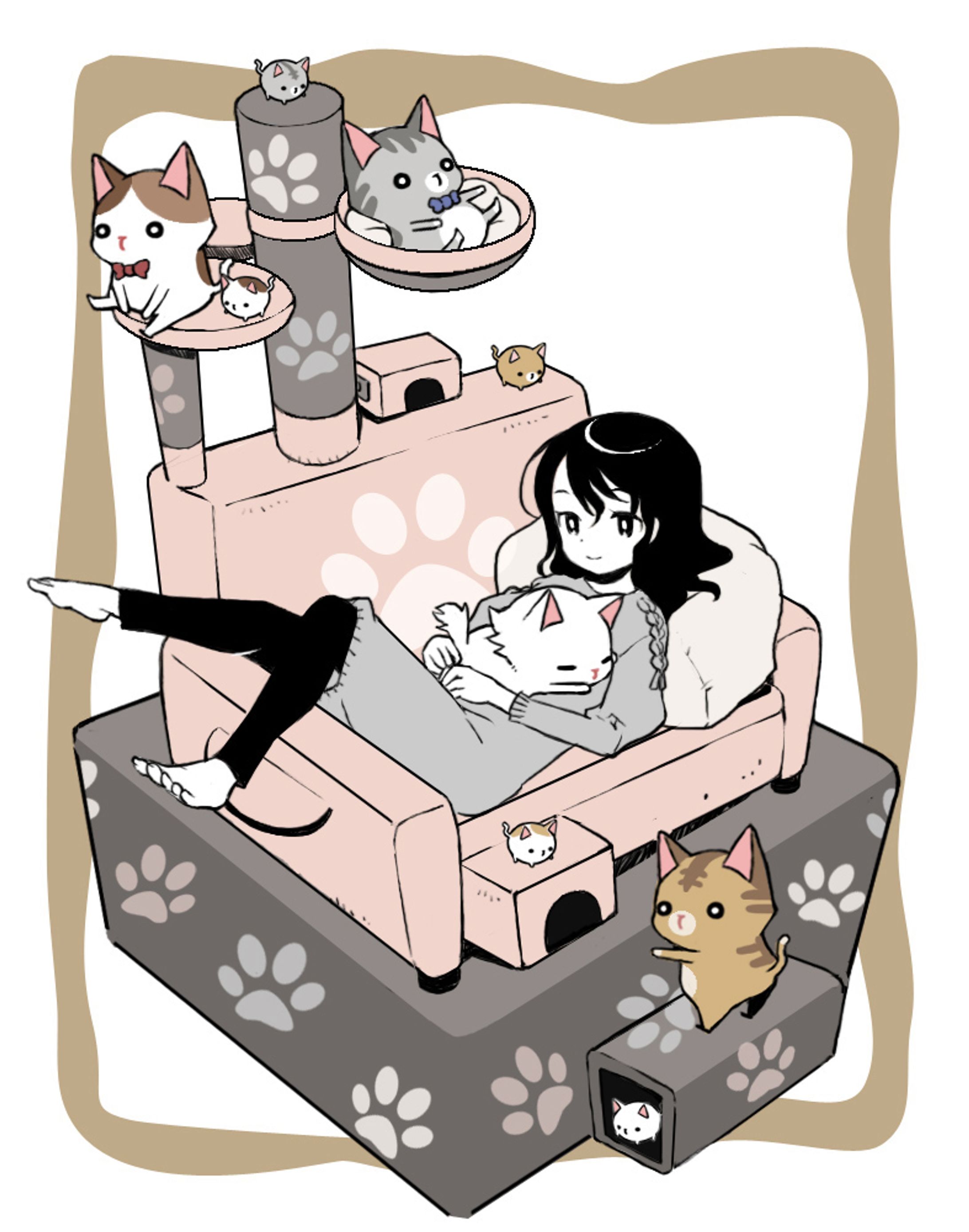 猫タワーとソファー-1
