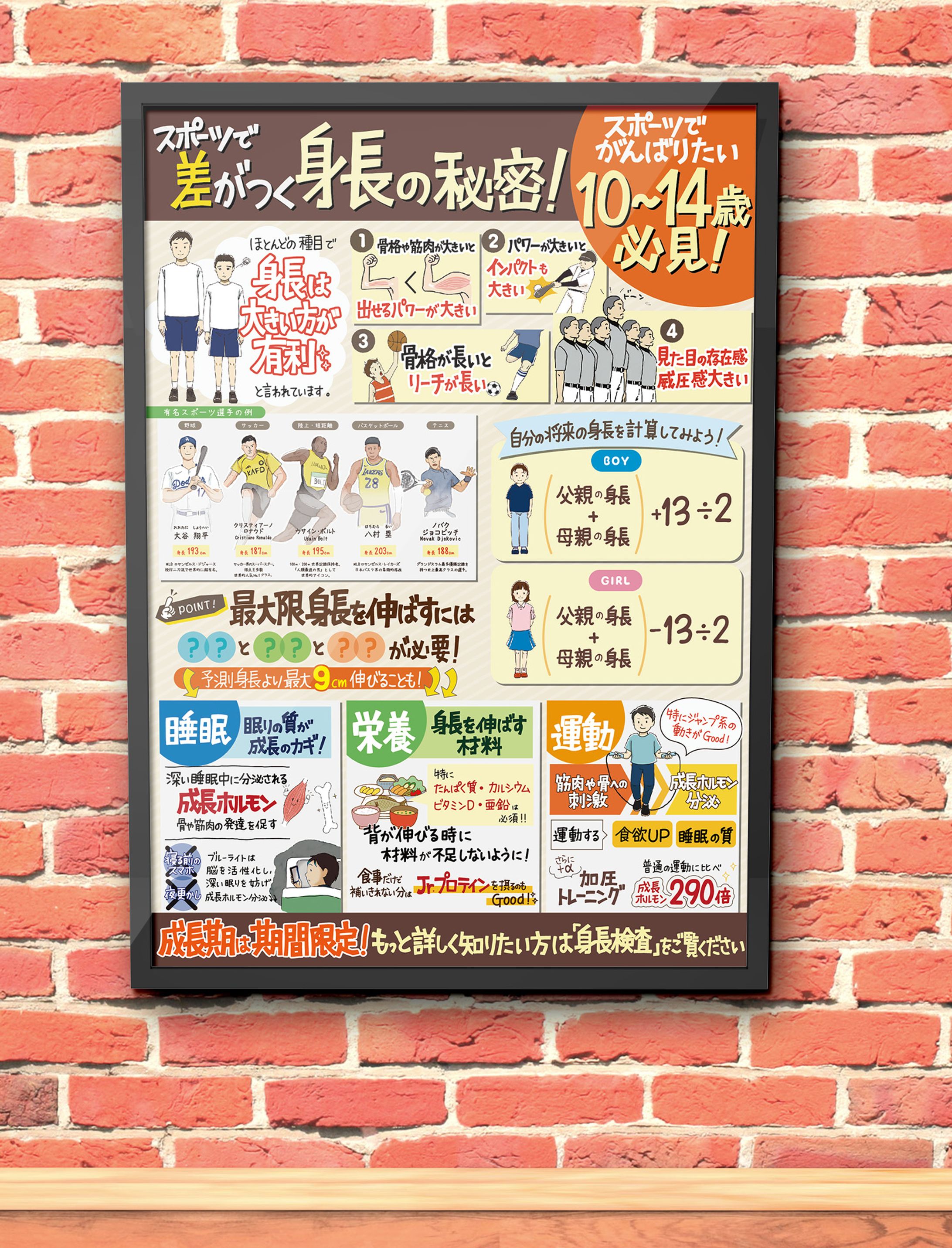 成長期の身長についてのPOP-1