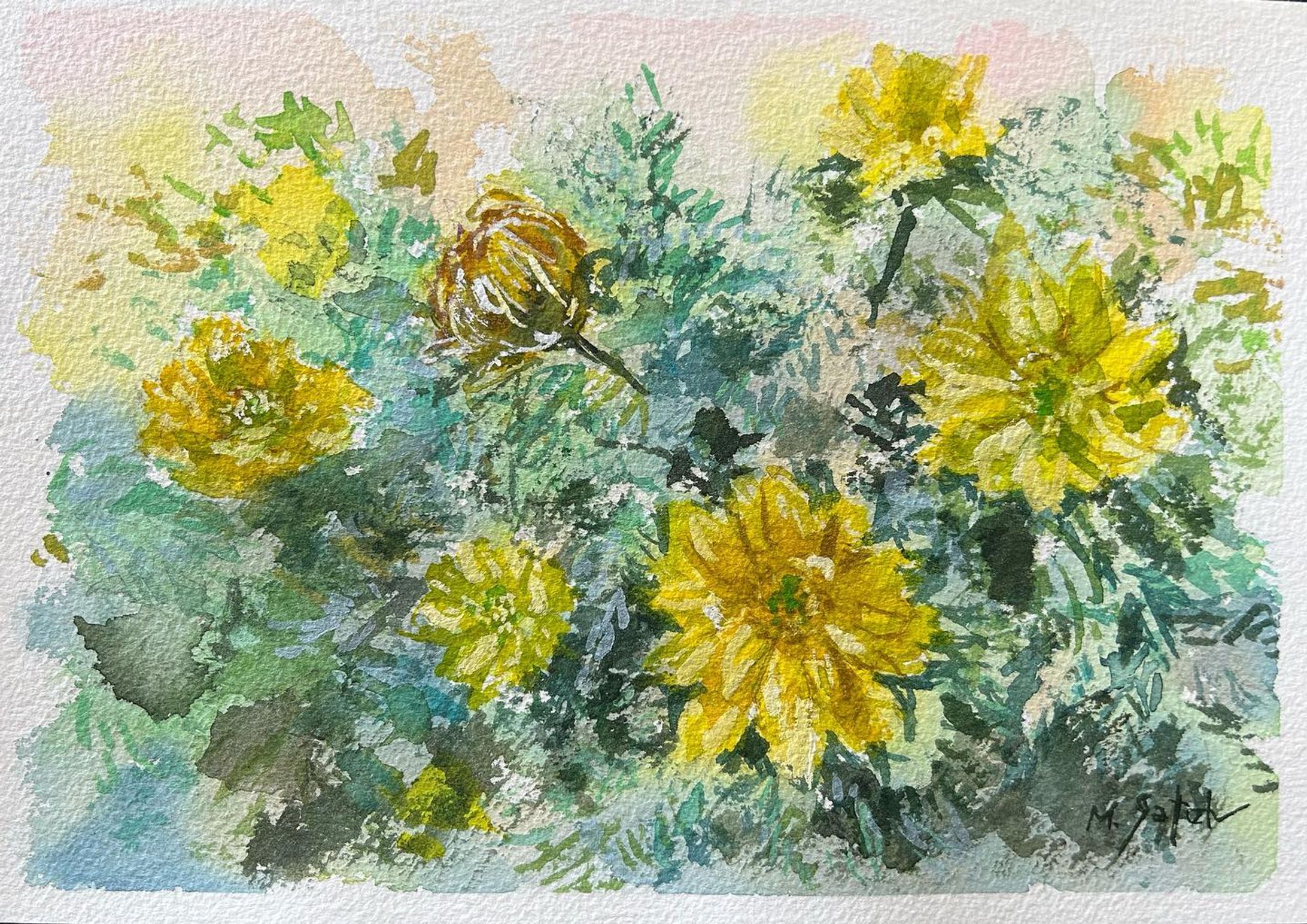 「福寿草」

透明水彩　Langton B5

#透明水彩 #透明水彩画 #静物画 #福寿草 #花の絵 #春のおとずれ #watercolor #watercolorpainting #stilllife #stilllifepainting #adonisramosa #flowerart #springhascome-1