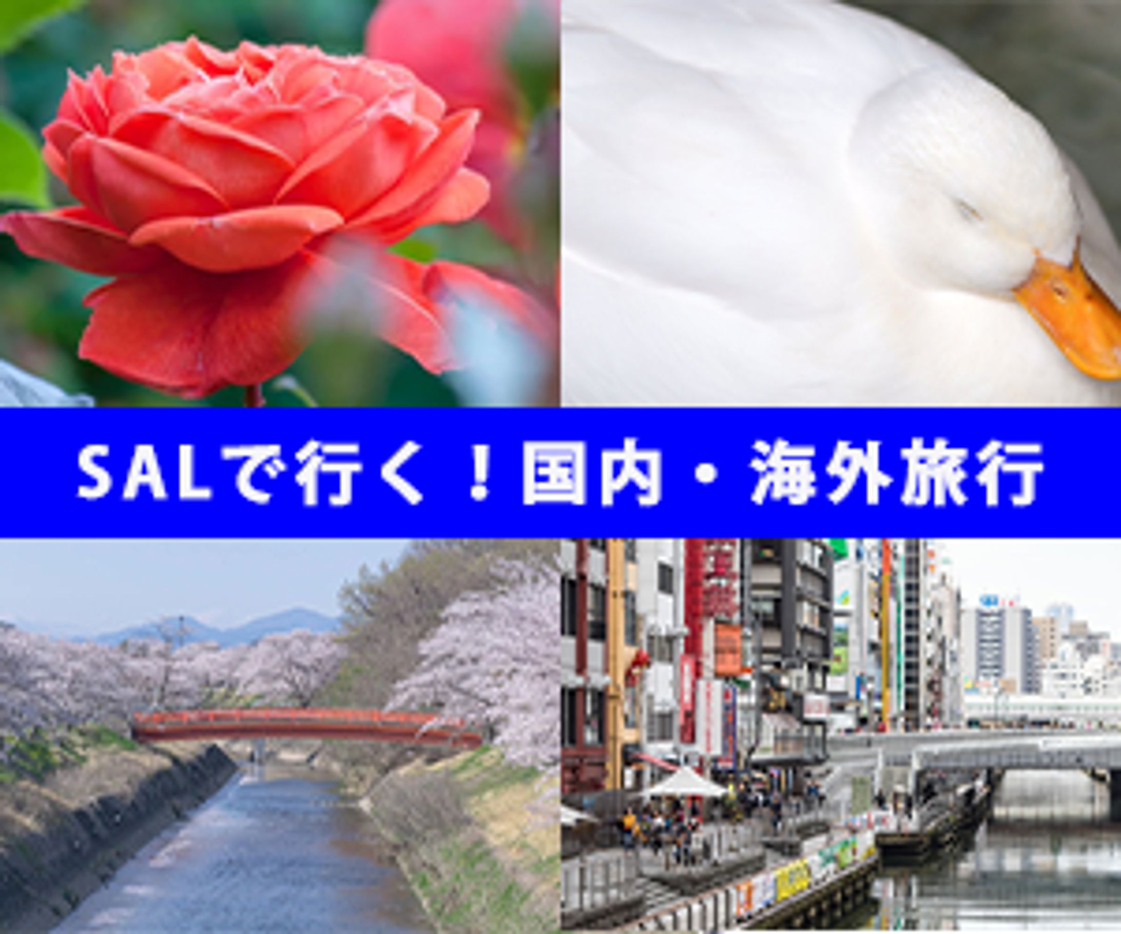 バナー練習2-1