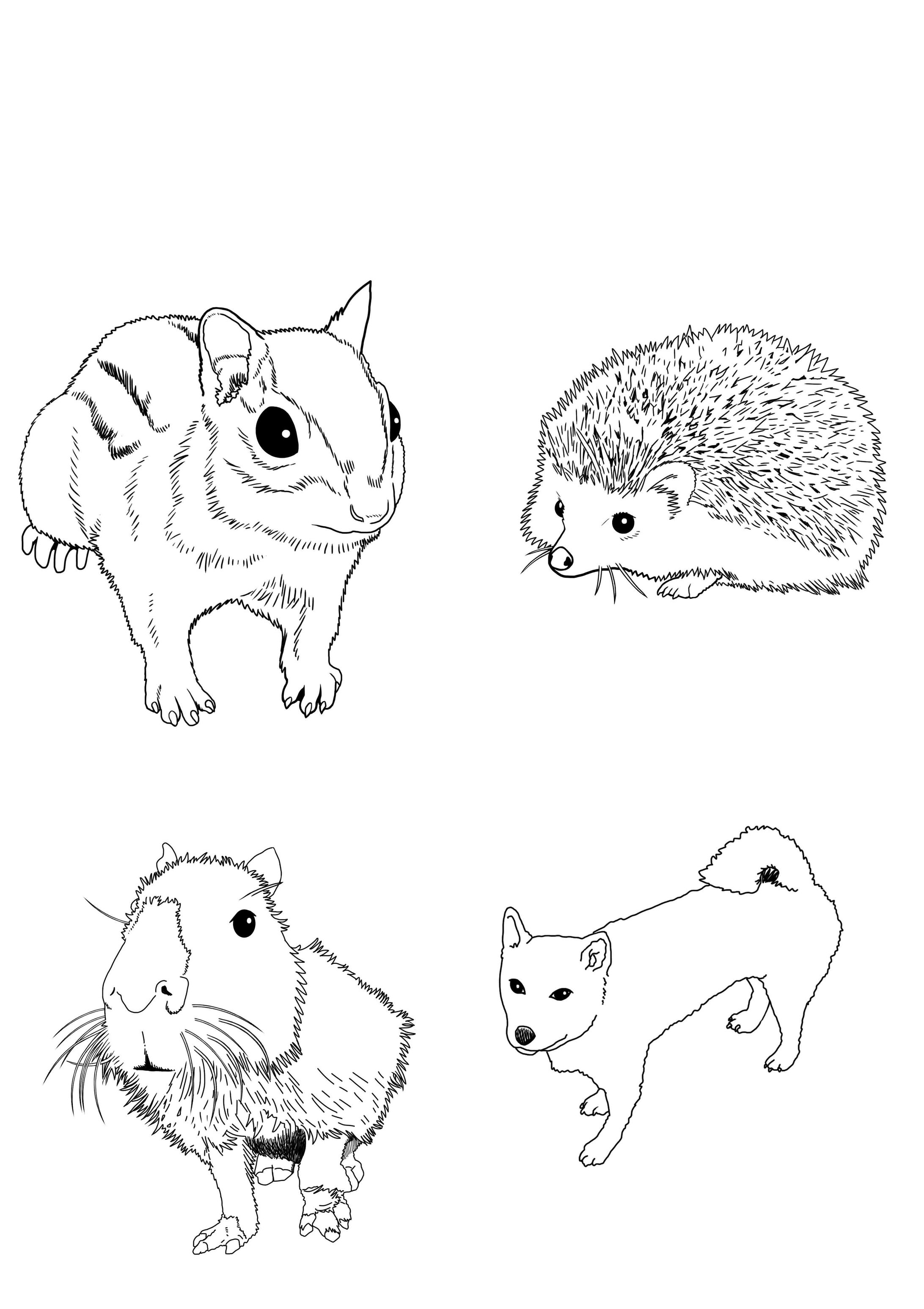 小動物イラスト線画-1