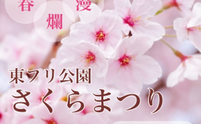 【バナー】桜祭り