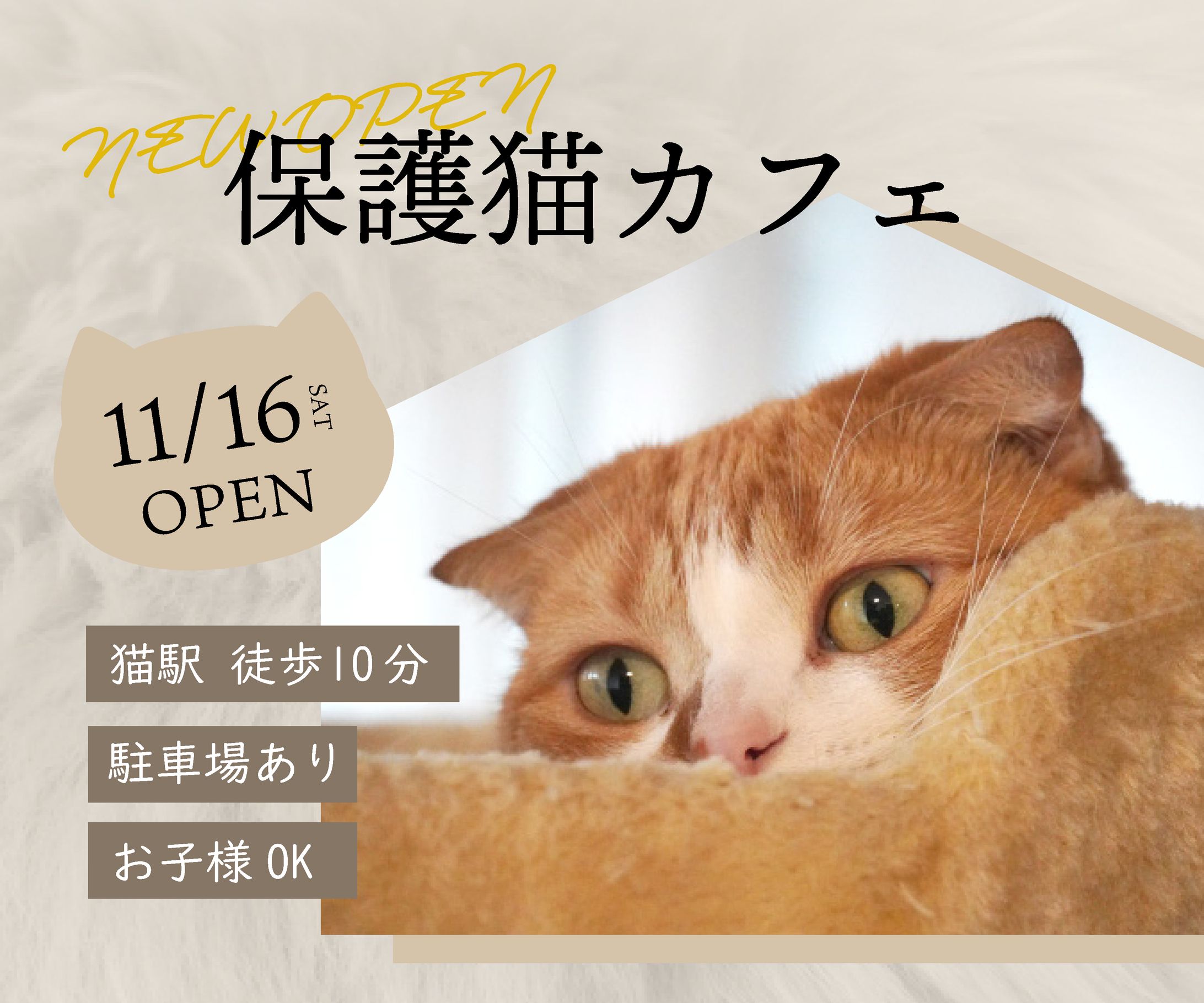 【架空】保護猫カフェバナー-1