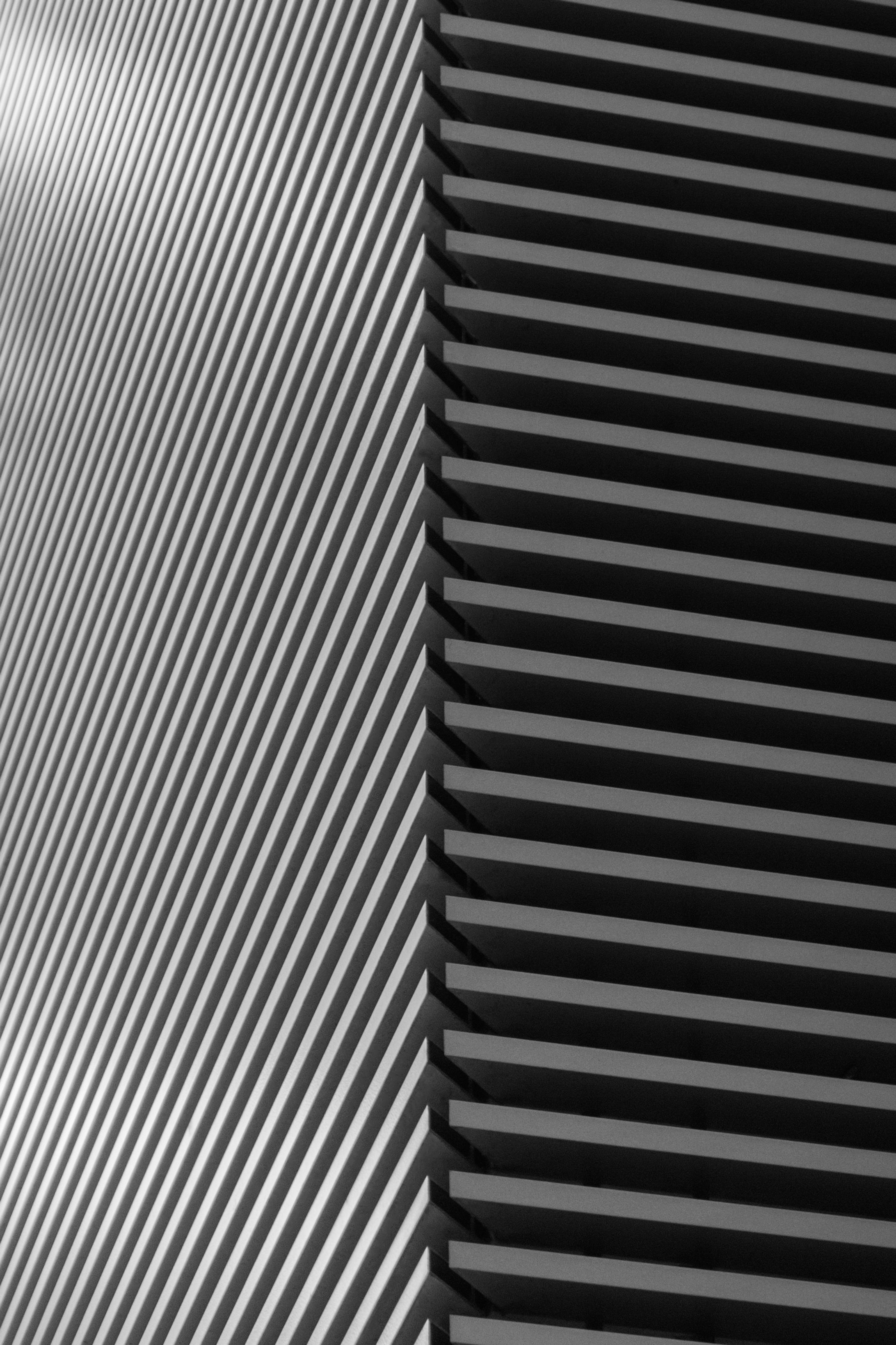 Shape Of Architecture-1