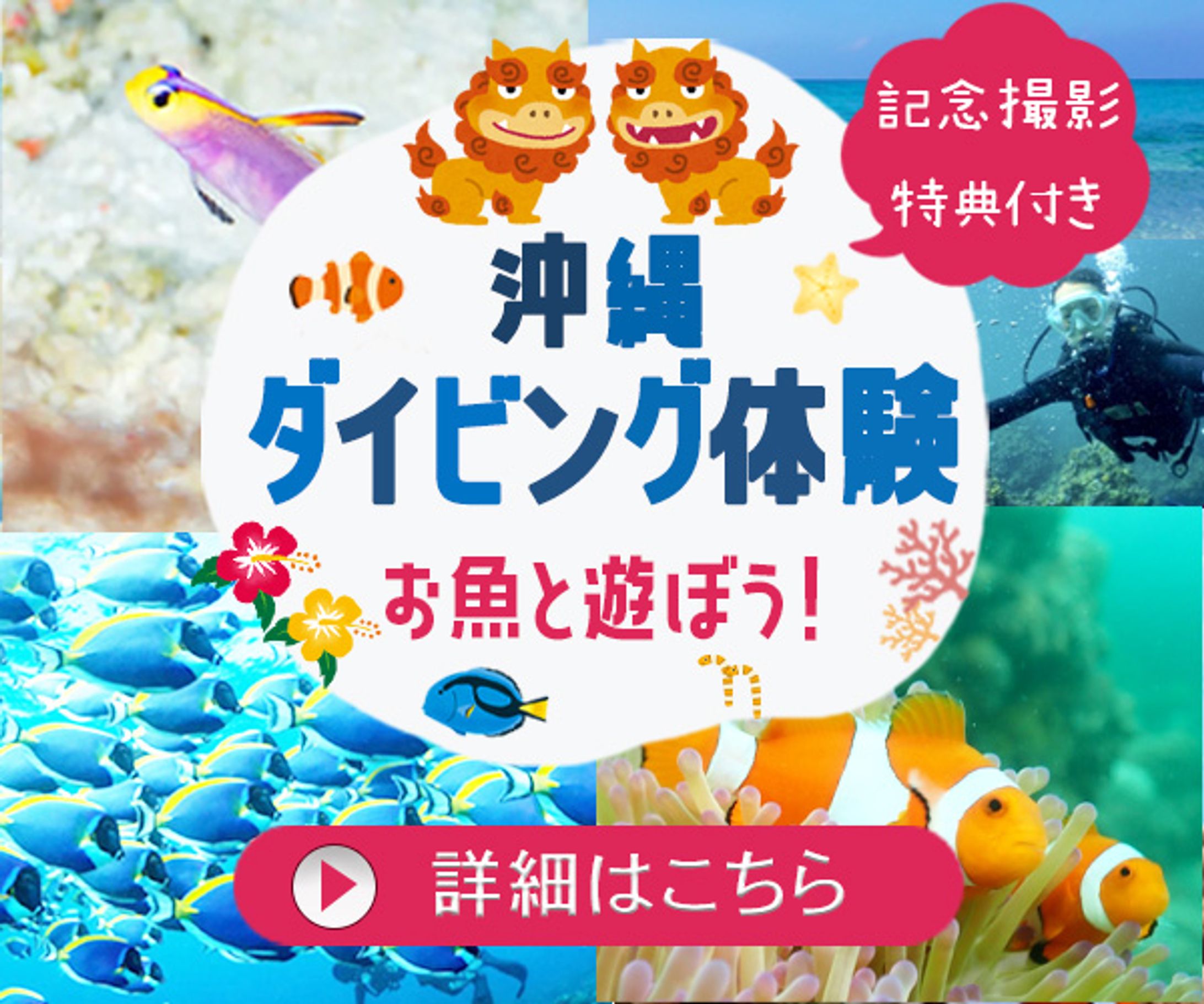 バナー：沖縄ダイビング体験-1