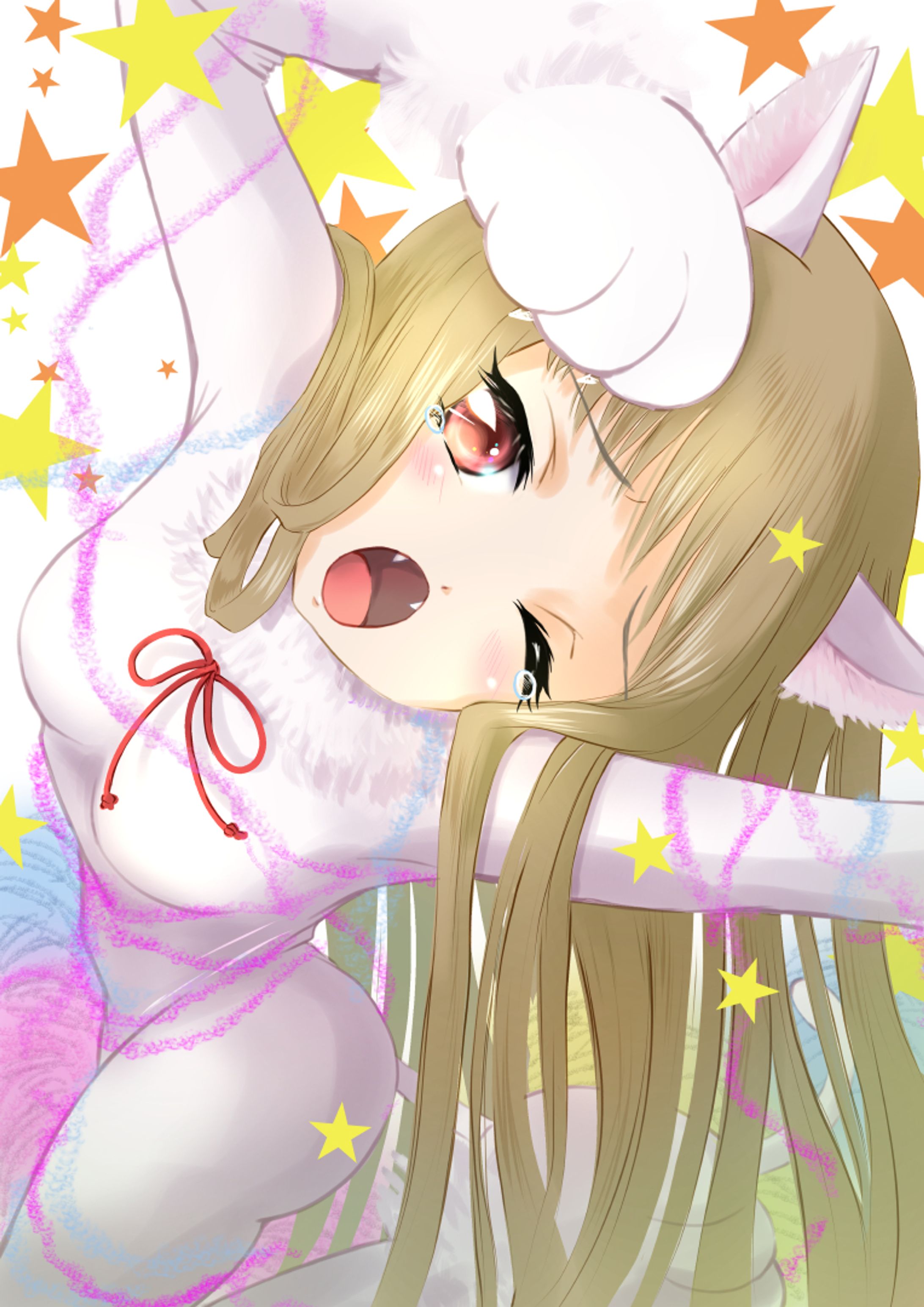 Cat’s day-1