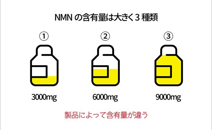 記事内画像