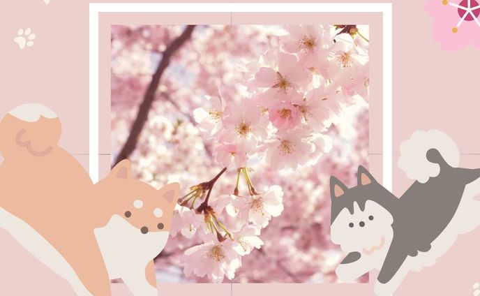 instagram用画像、skeb