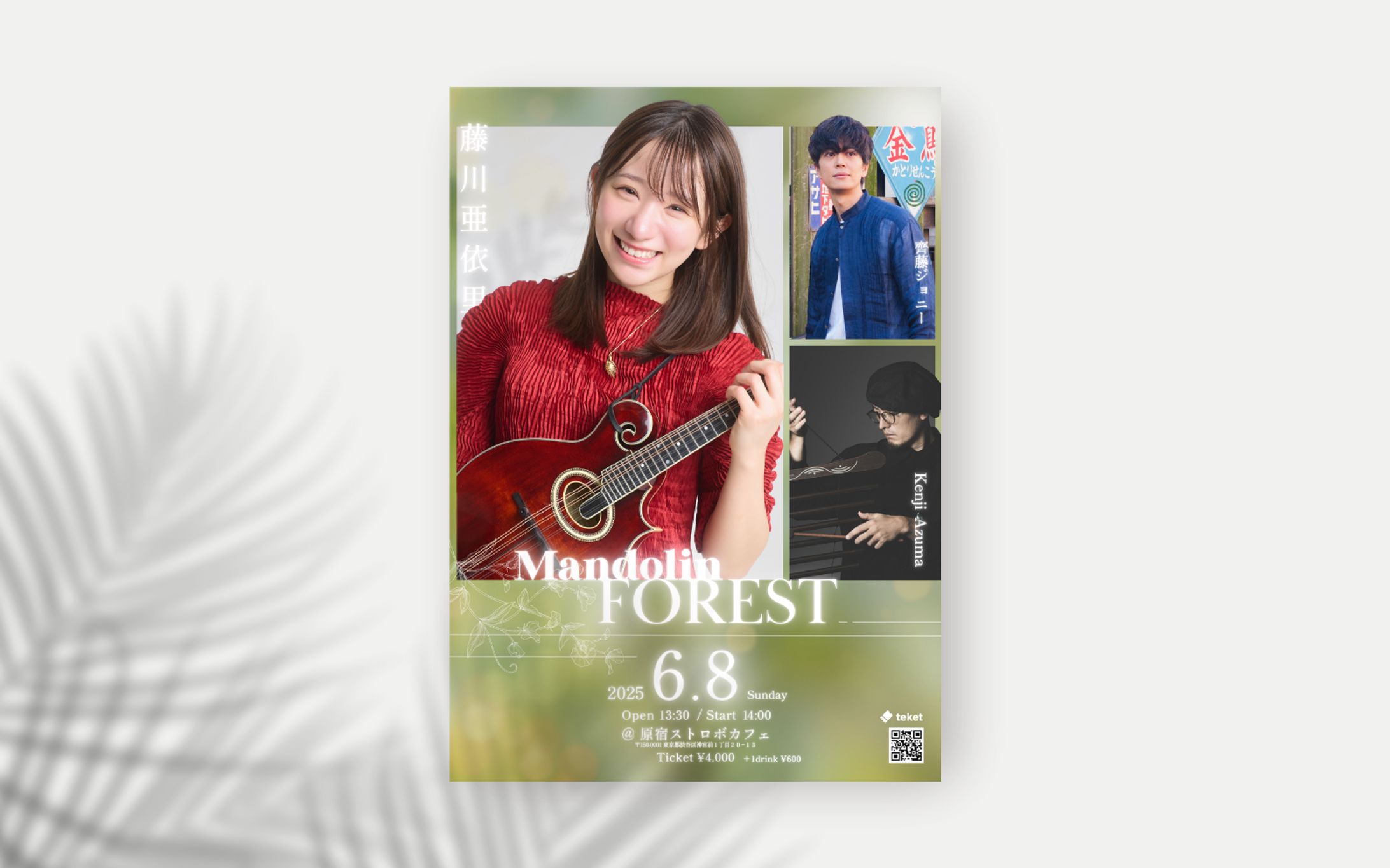 Mandolin FOREST フライやー-1