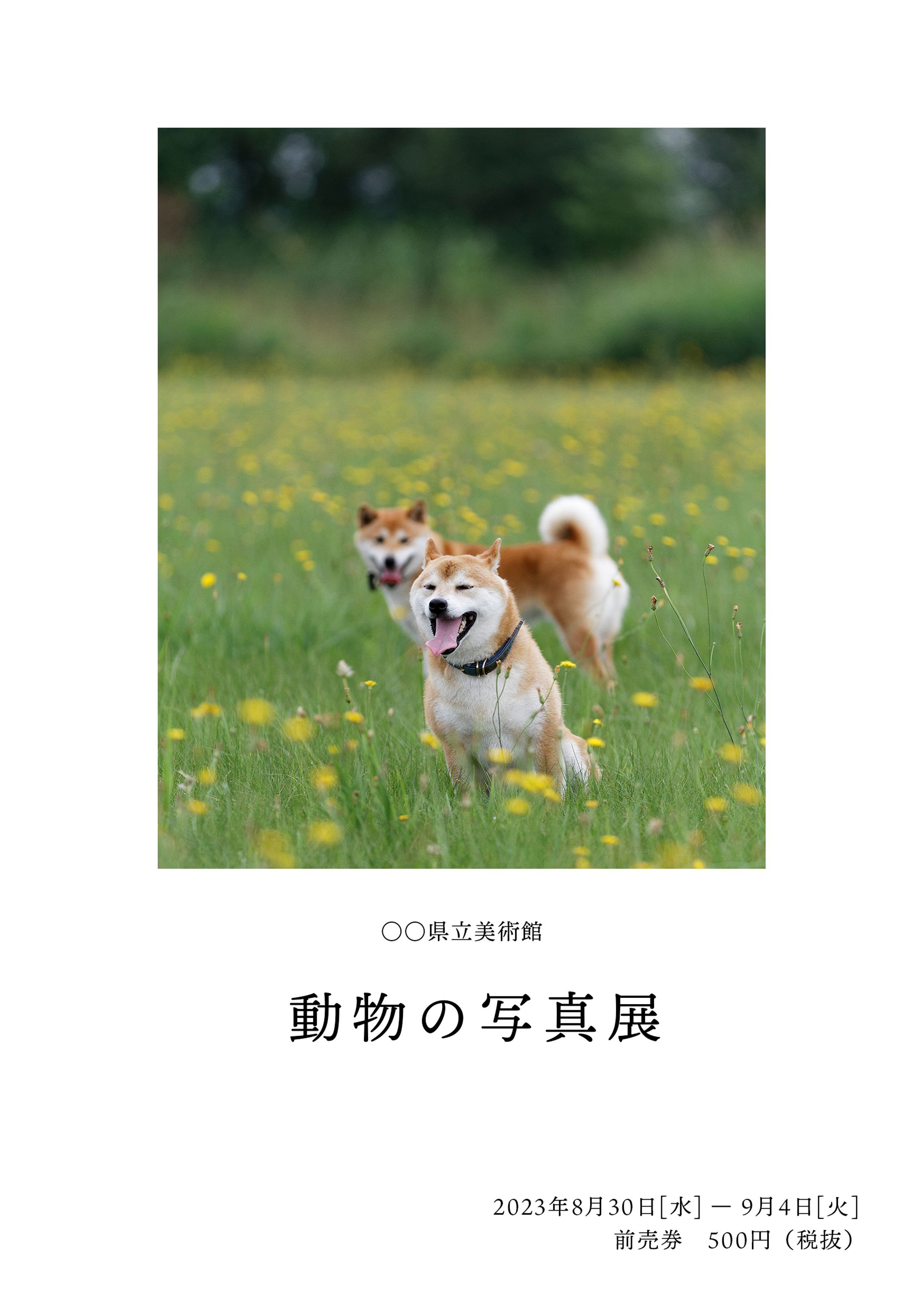 写真展のチラシ-1