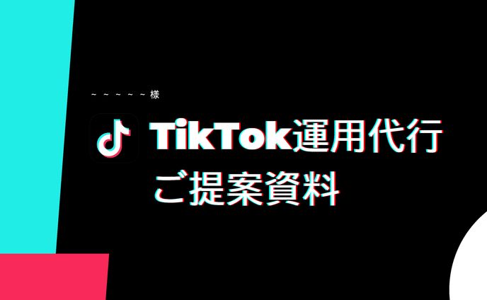 企業向け提案資料（抜粋）
