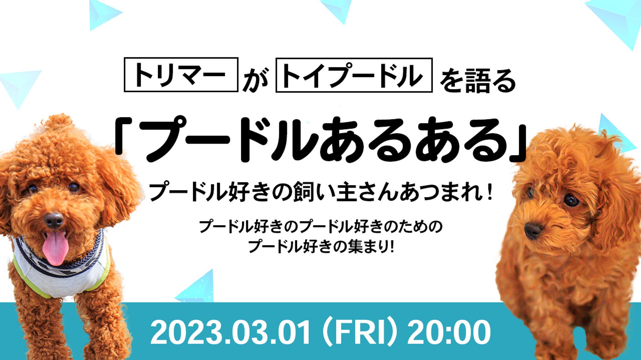 動物系サムネ-1