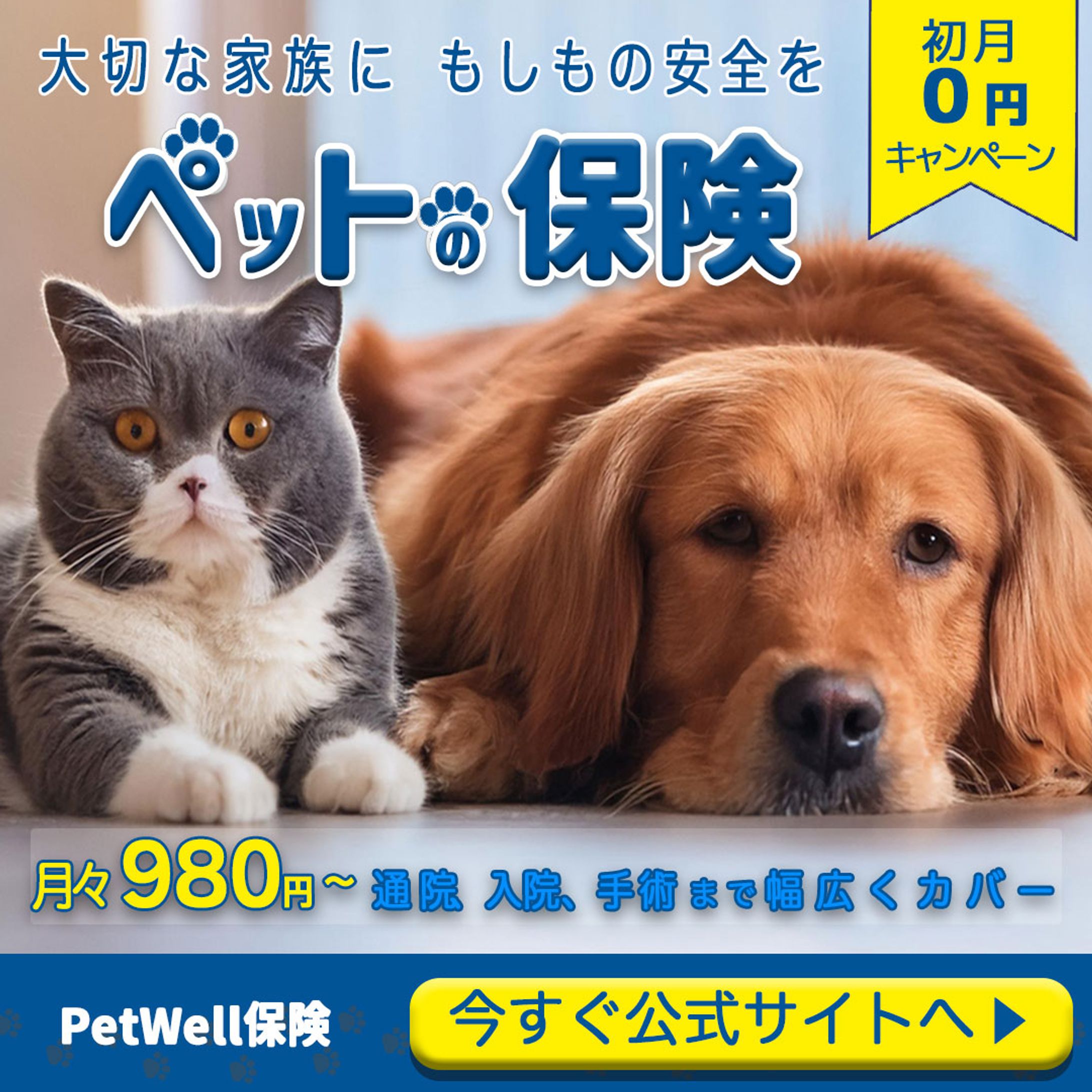 ペット保険（実案件）-1