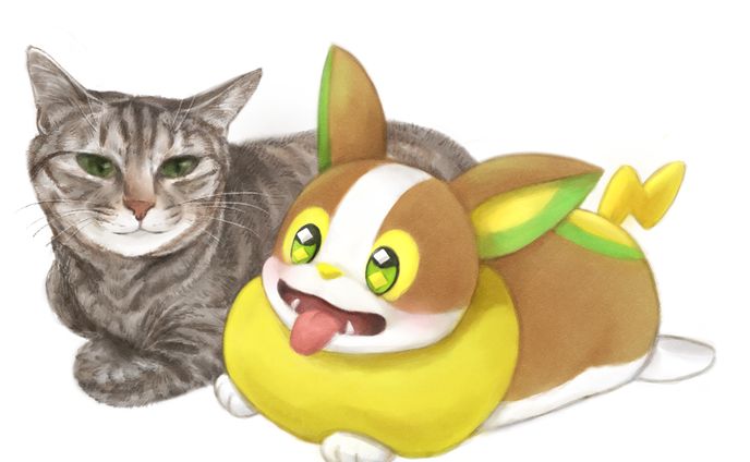 猫とワンパチ