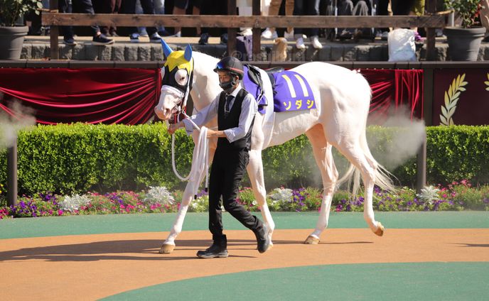 Sodashi Yushun Himba (Japanese Oaks) Paddock