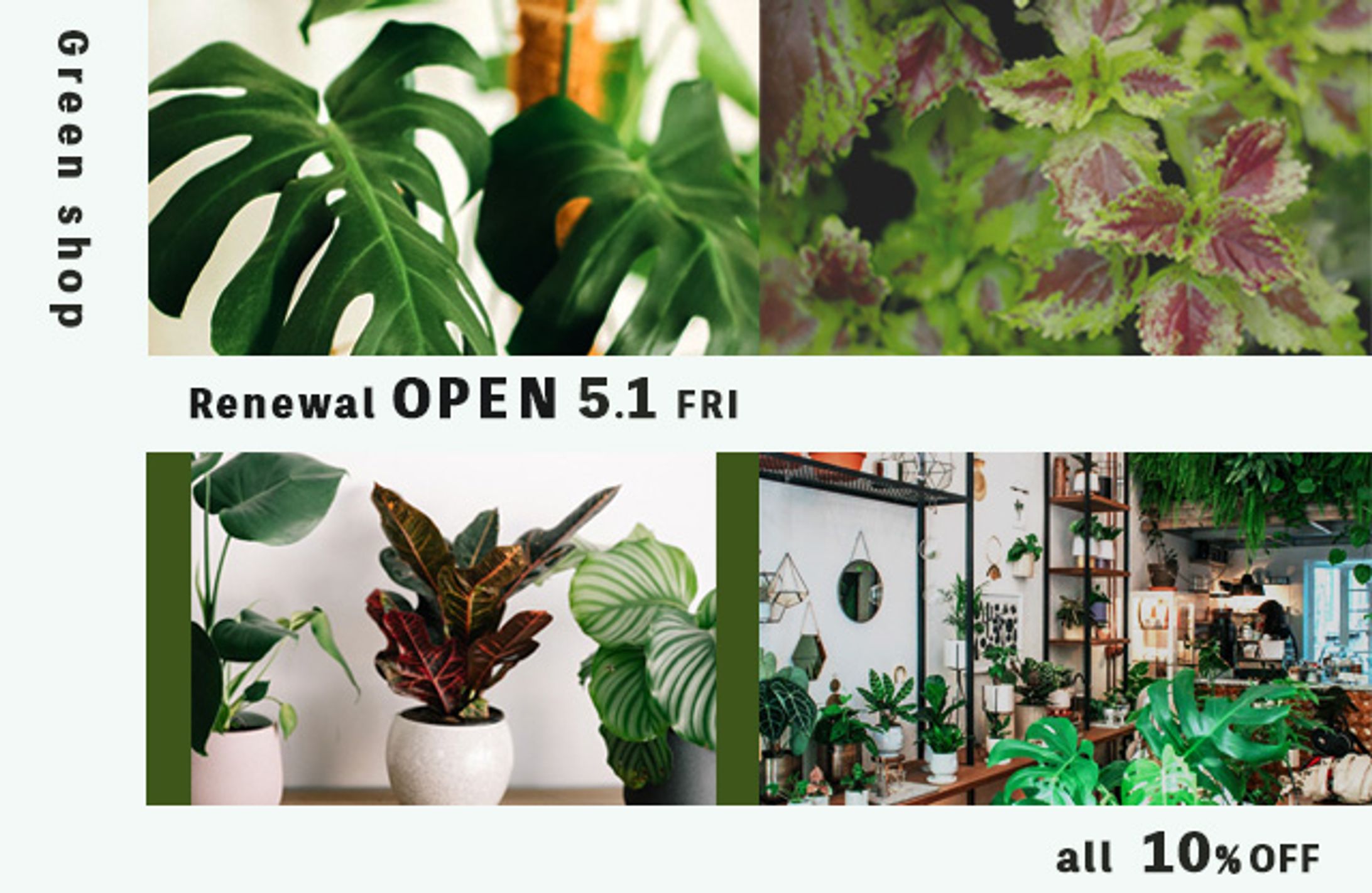 【架空バナー】植物店リニューアルオープン告知-1