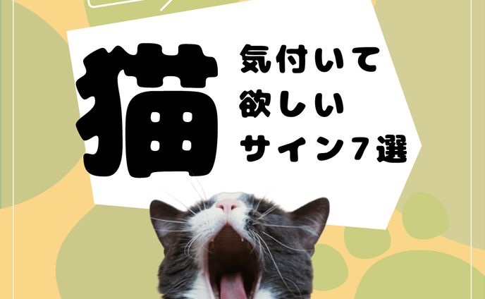 動物病院Instagram投稿イメージ