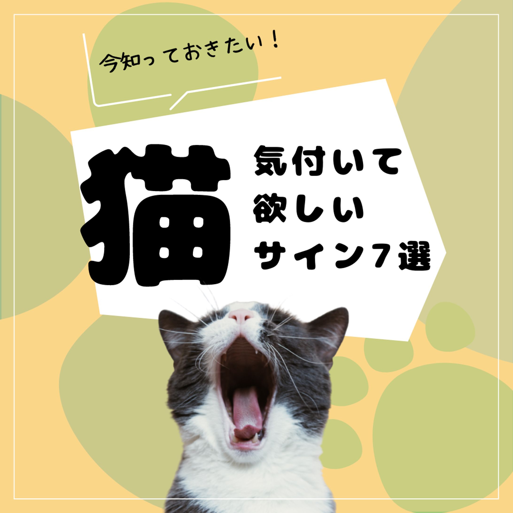 動物病院Instagram投稿イメージ-1