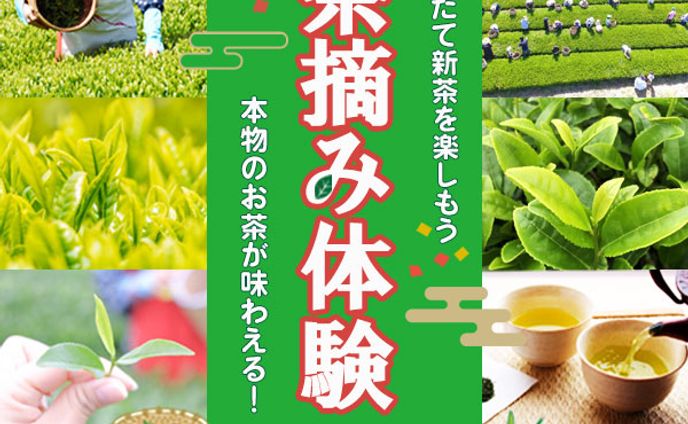 茶摘み体験バナー