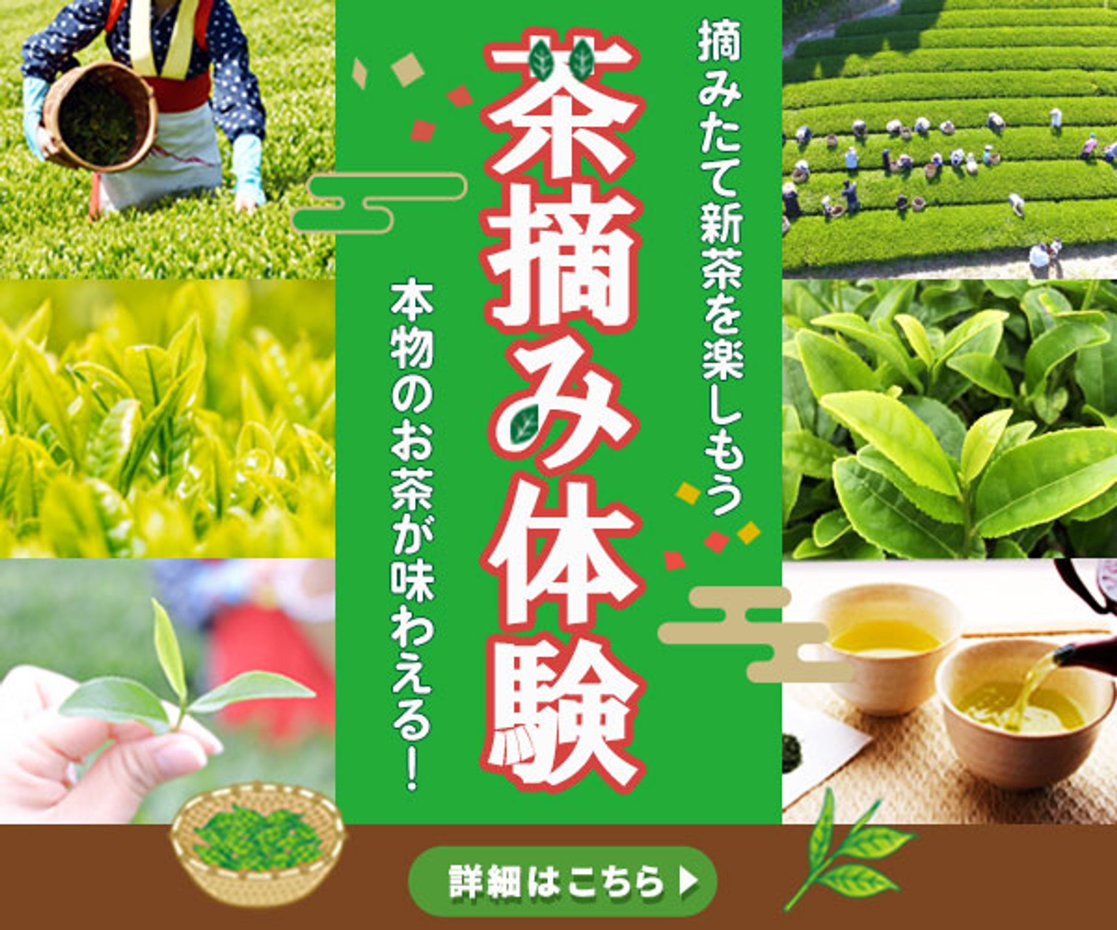 茶摘み体験バナー-1
