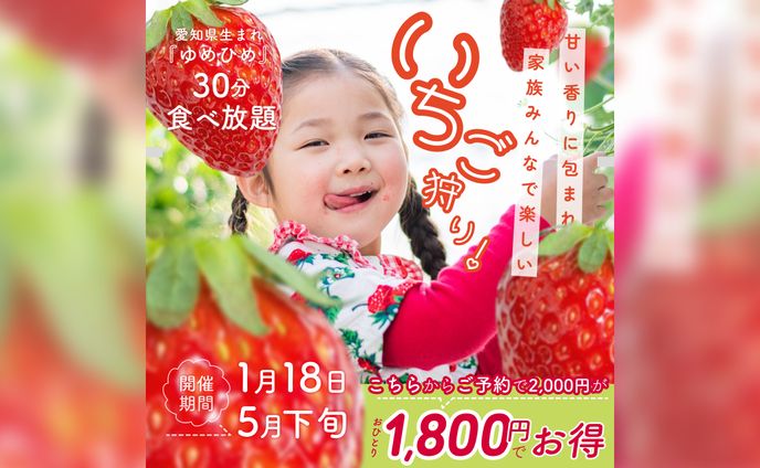 いちご狩り🍓バナー