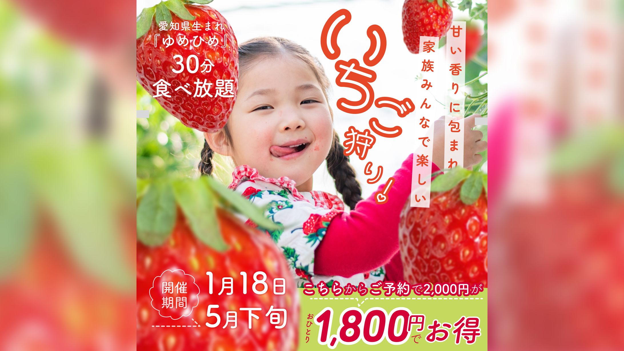 いちご狩り🍓バナー-1
