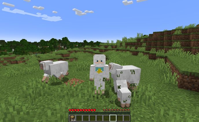 マイクラ　スキン