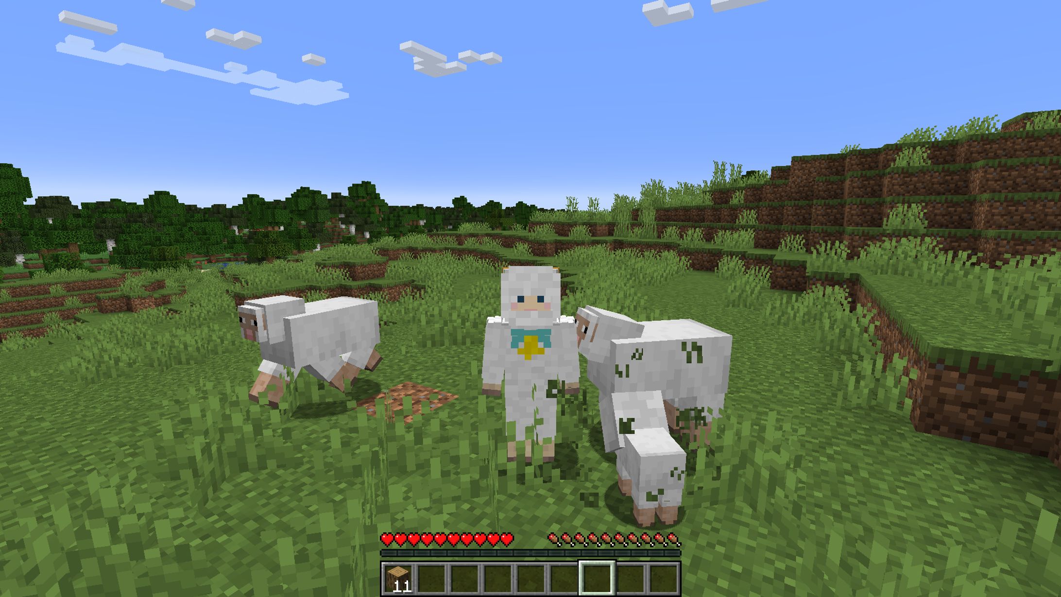マイクラ　スキン-1