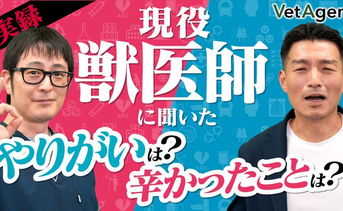 サムネイル#5