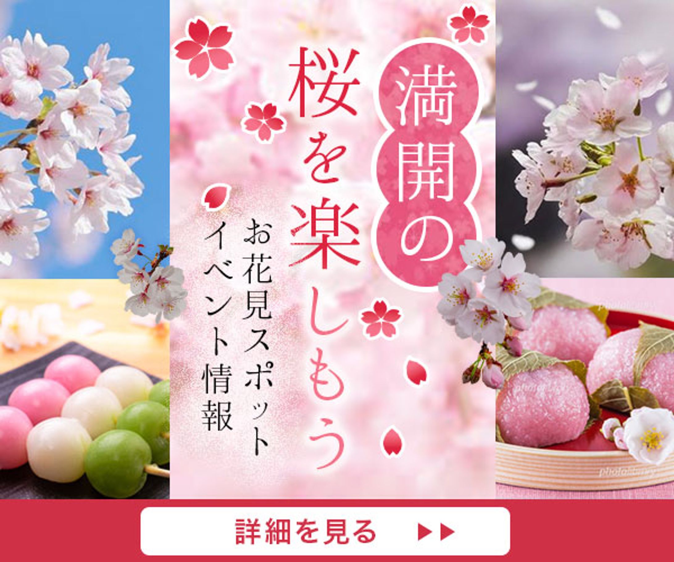 広告バナー【お花見】-1
